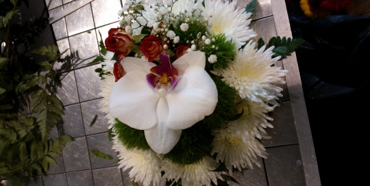 2014-05-22 18.41.06