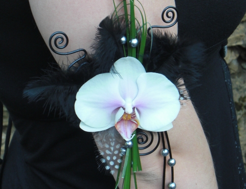 Bijoux 11